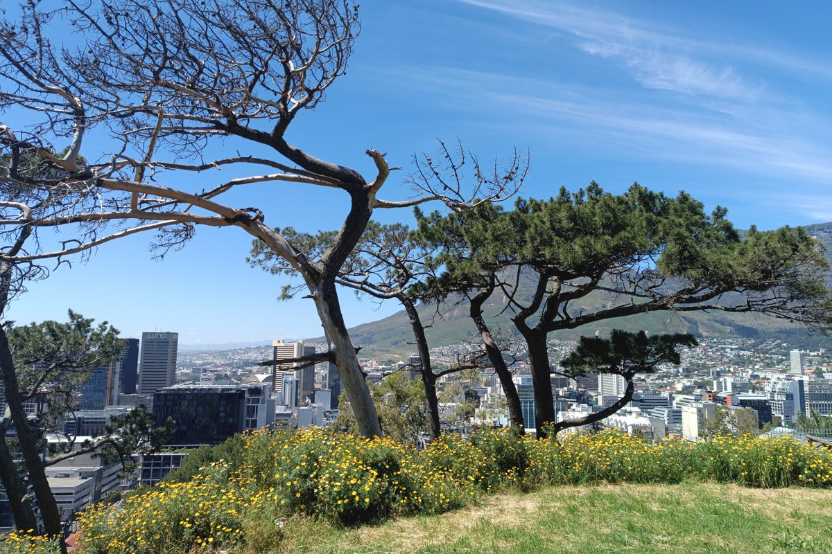 Cape Town for solo female travelers