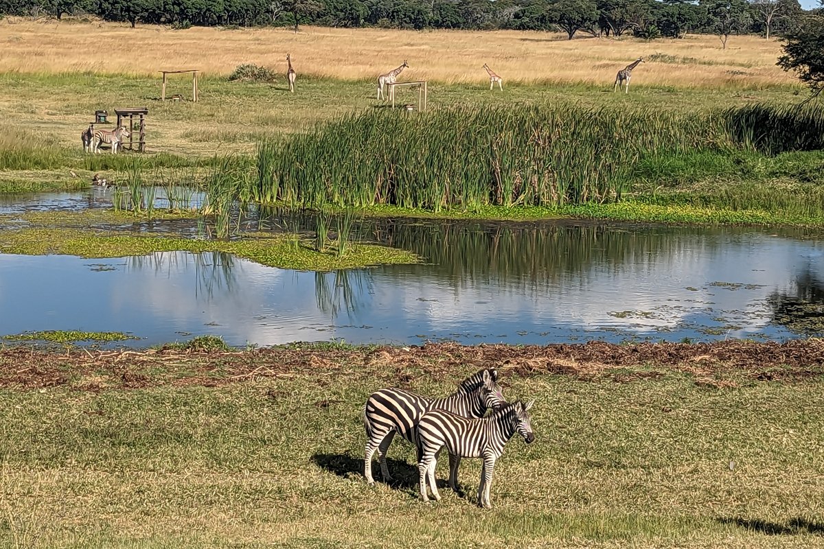 Harare for solo female travelers