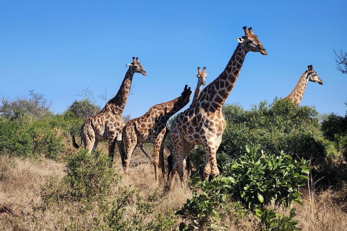 Kruger National Park for solo female travelers