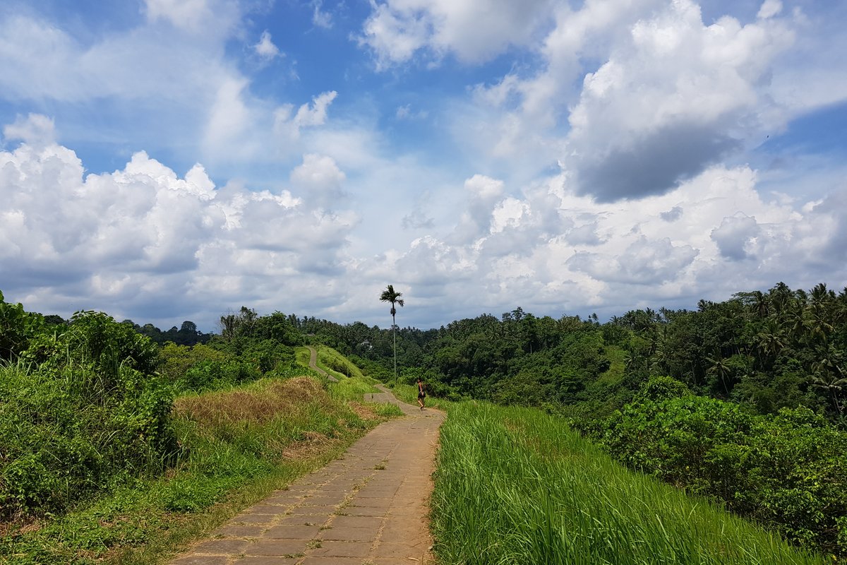 Ubud for solo female travelers