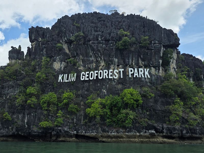 Langkawi Mangrove Tour