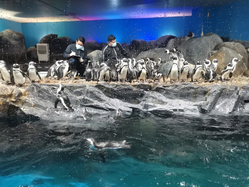 Underwater World Langkawi