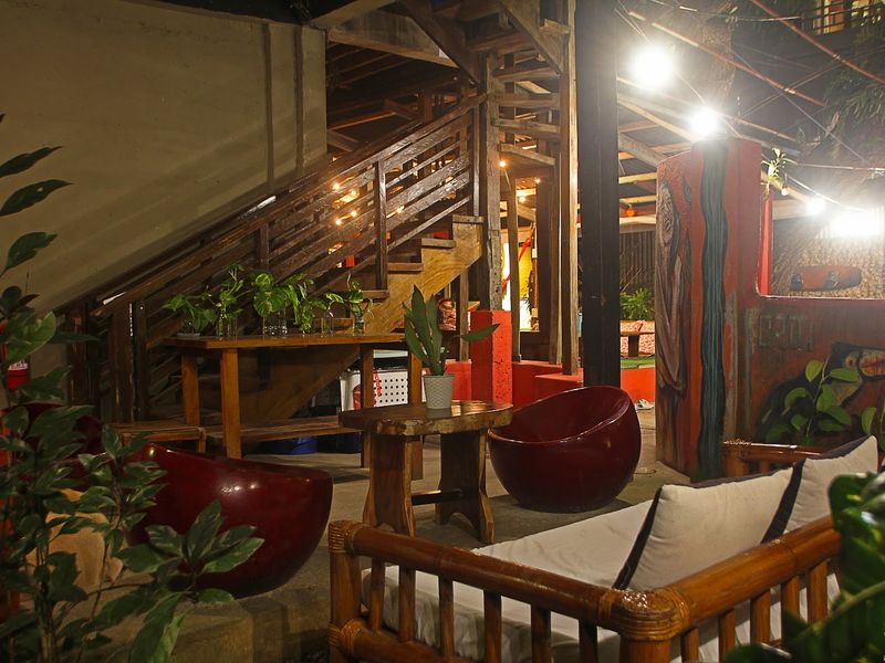 The Lazy Dog Bed & Breakfast