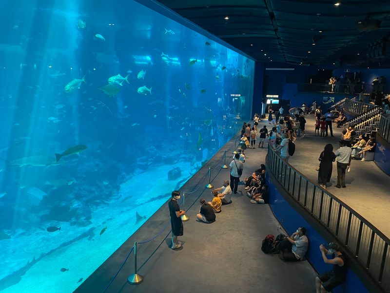 Singapore Oceanarium