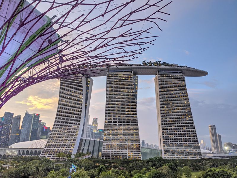 Supertree Grove