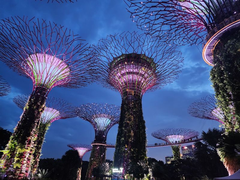 Supertree Observatory